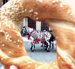 Krakow-Horses-&-Pretzel