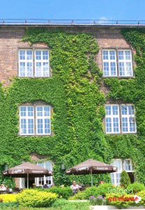 Wawel Chocolate Cafe