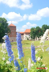Krakow Wawel Castle Zlodziejska Tower - view from the Castle Square