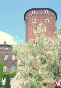 Krakow Wawel Sandomierska Tower Viewing Point