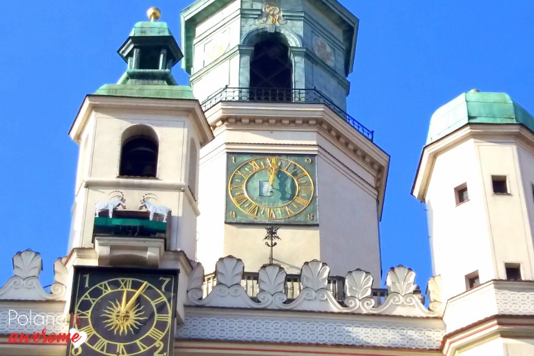 Poznan Town Hall goats at noon